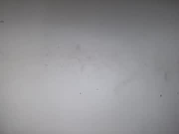 allanarey151 sweet live cam screenshot